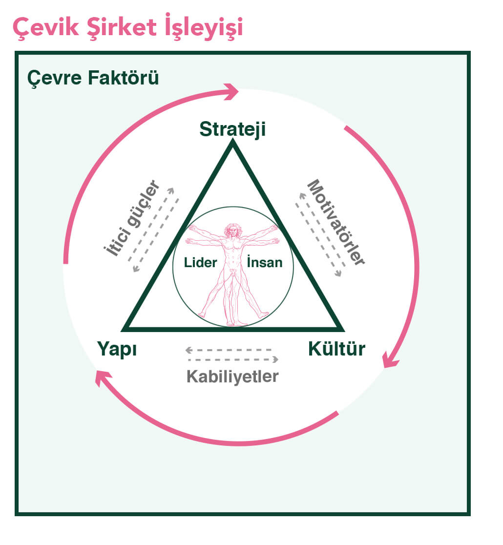 strateji-kultur-yapi