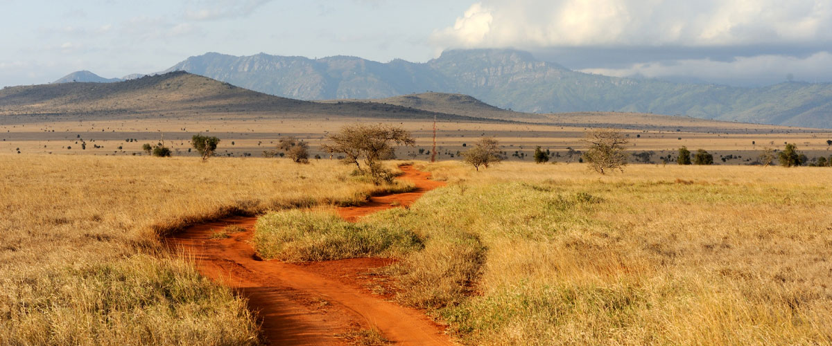 article header image