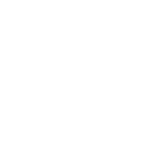 Problem Icon