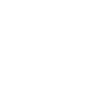Problem Icon