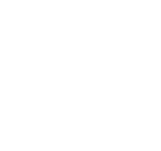 Problem Icon